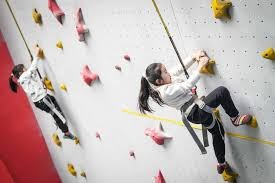 欧洲区世预赛D组大结局：法国出线，乌克兰附加赛，冰岛出局