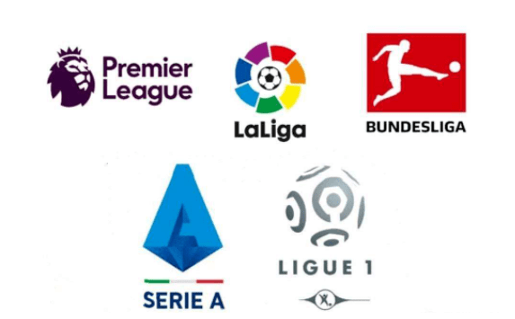 天津女排以 天津女排以