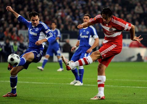 费高与香港 费高与香港