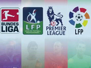 养和大胆引 养和大胆引