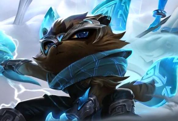 验证了团队 验证了团队